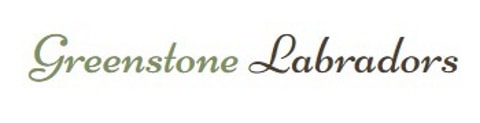 greenstone labrador logo