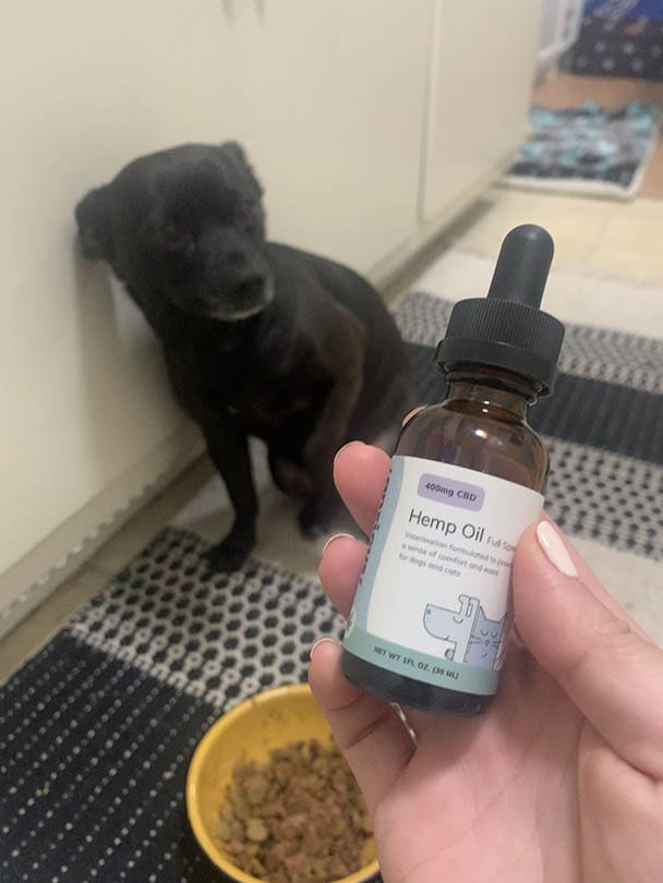 hand holding Anxious Pet Full Spectrum Hemp Oil with Chihuahua-Terrier dog mix in the background