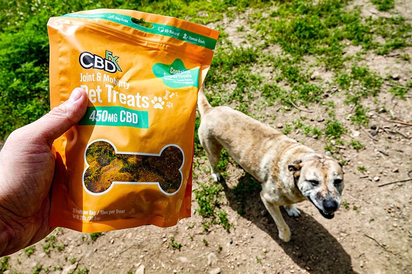 hand holding cbdfx pet treat packaging to the dog
