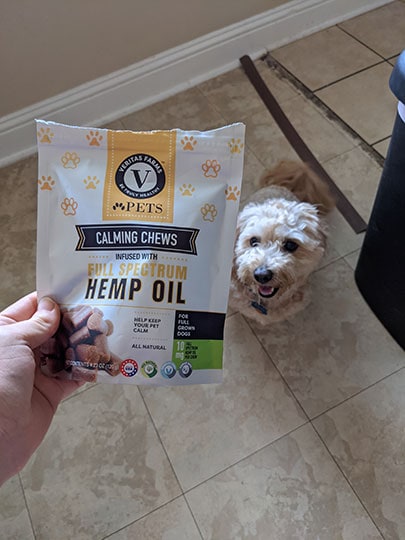 hand holding out veritas farms calming chews packaging in front of the dog
