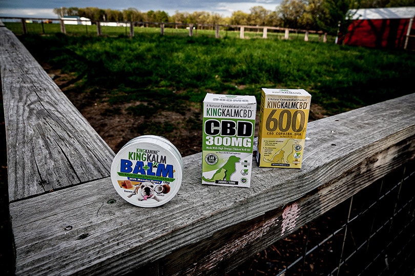 king kalm balm and cbd oil extract products