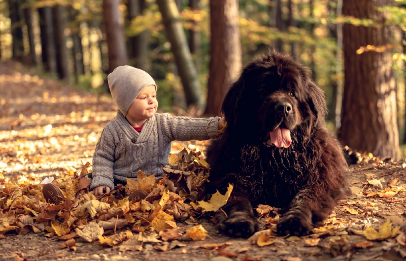 little boy petting a black newfoundland dog outdoors