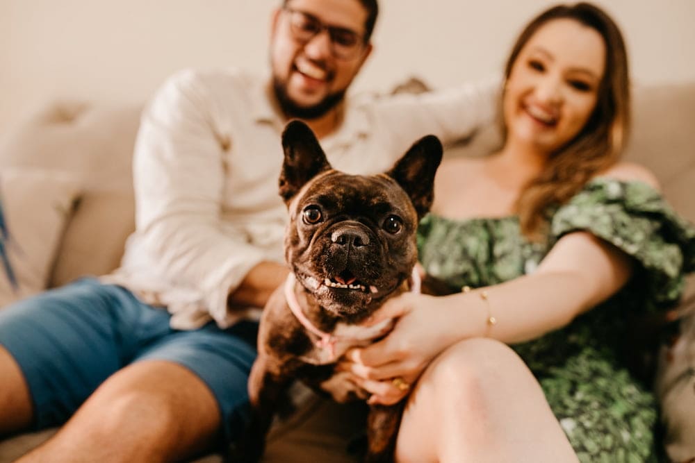 man and woman holding a black french bulldog