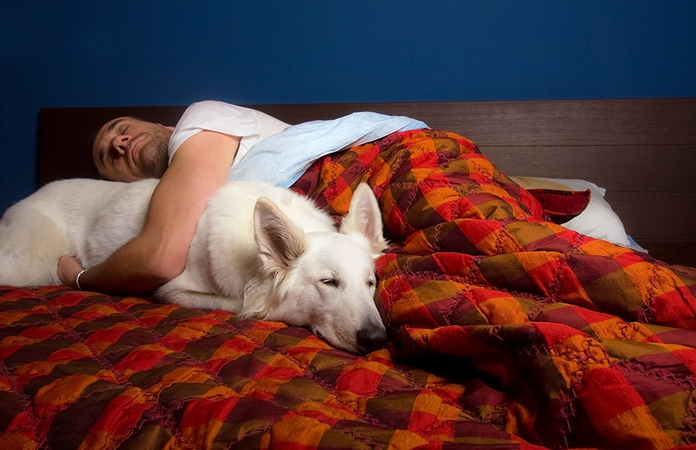 man cuddling white dog while asleep