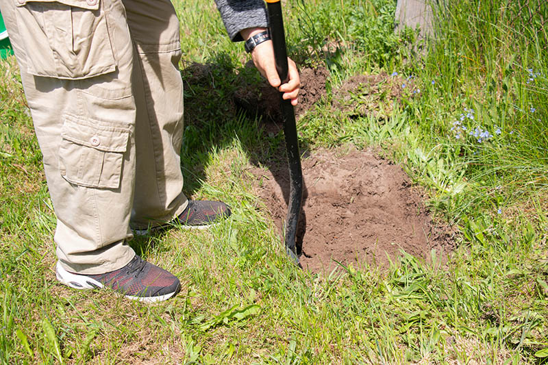 man digging a hole with a shovel