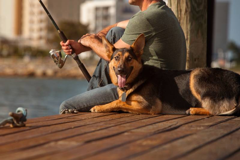 man fishing with german sheperd beside him