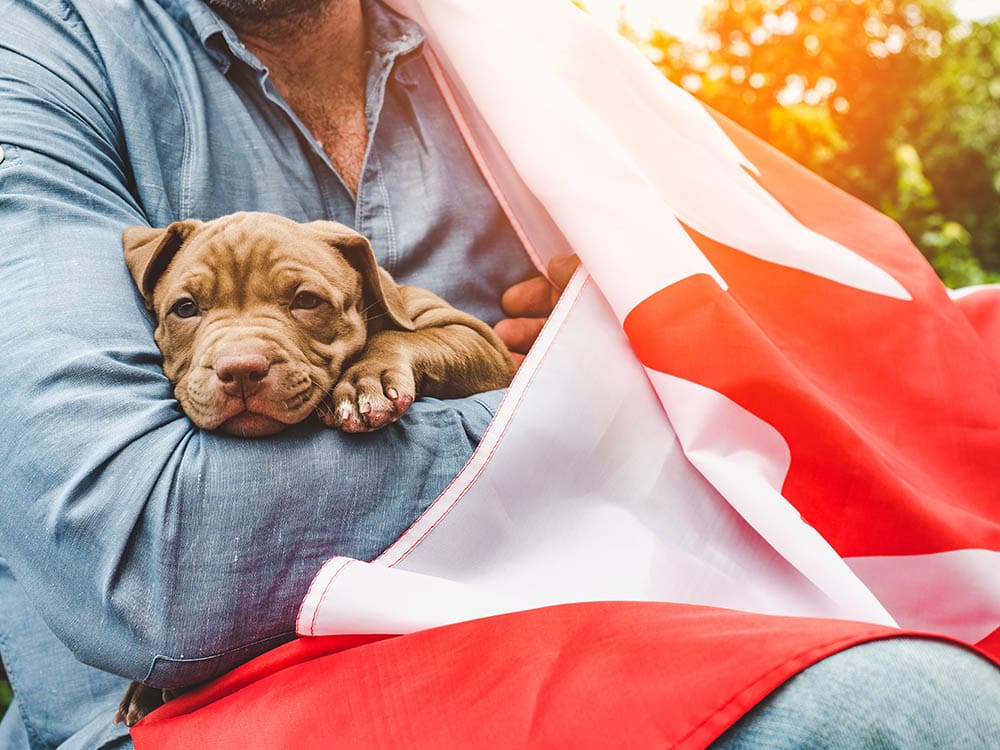 man holding a dog with flag of Canada