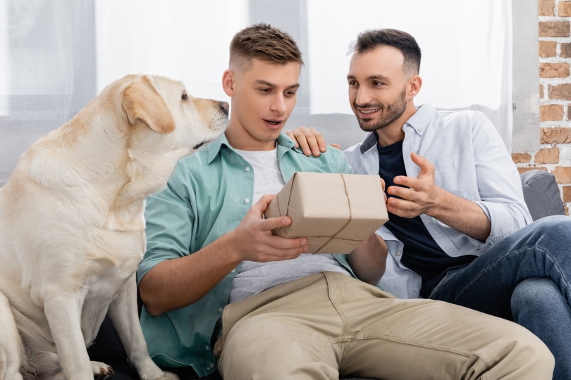 man holding present near dog