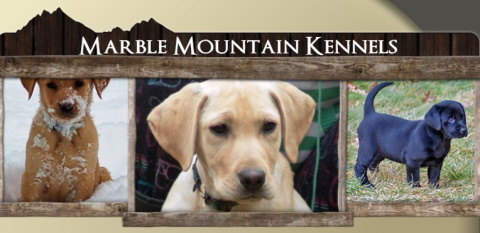 marble mountain kennels logo