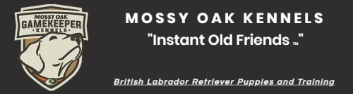 mossy oak kennels logo