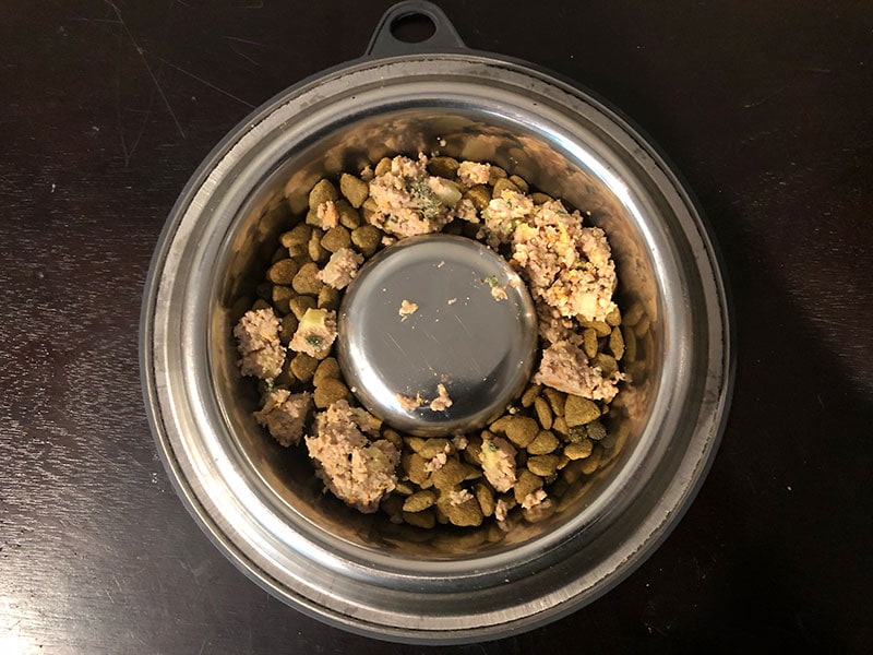 nutricanine turkey recipe mixed with dry kibble in the bowl