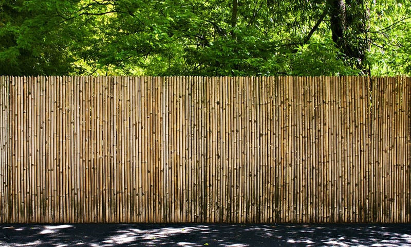 outdoor bamboo fence