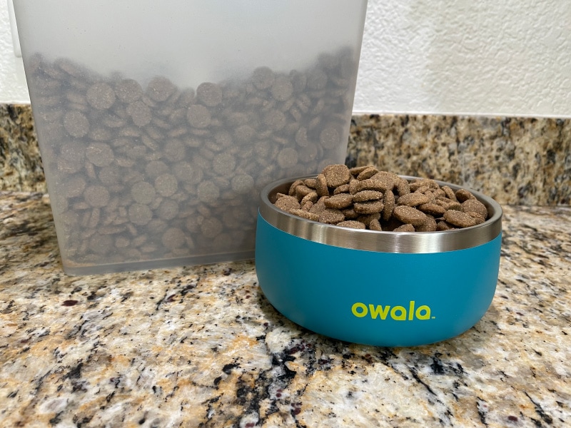 owala pet bowl with dog food