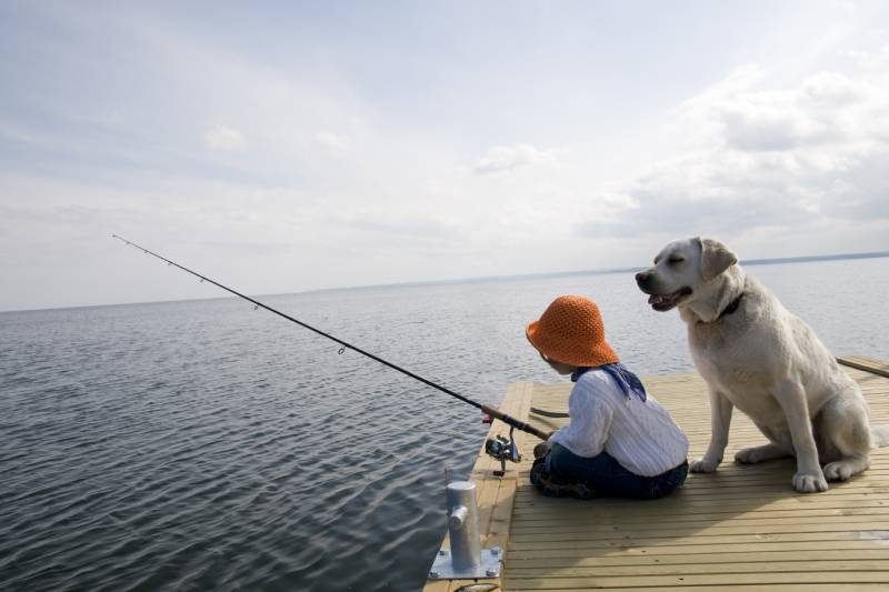 owner fishing with labrador retriver dog