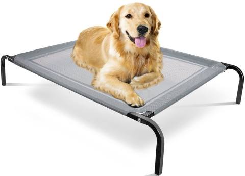 paws & pals dog bed_Amazon