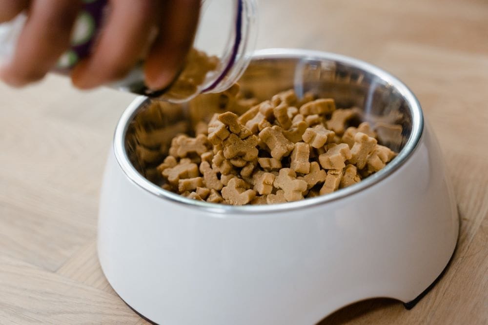 person pouring dog food to a bowl