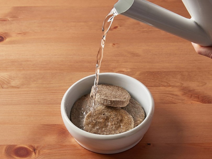 pouring hot water on freeze dried dog food