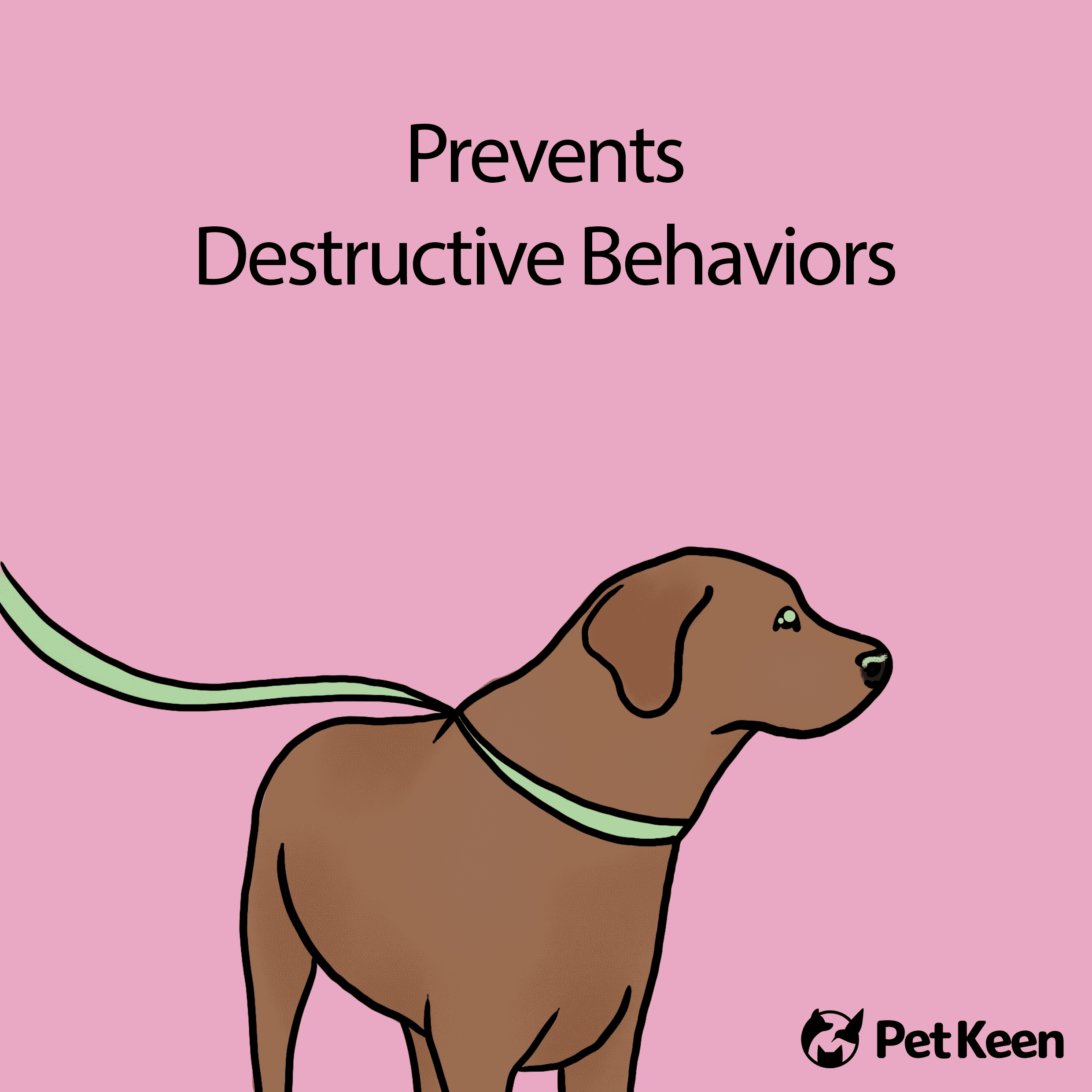 prevents destructive behavior