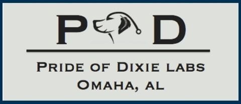 pride of dixie labs logo