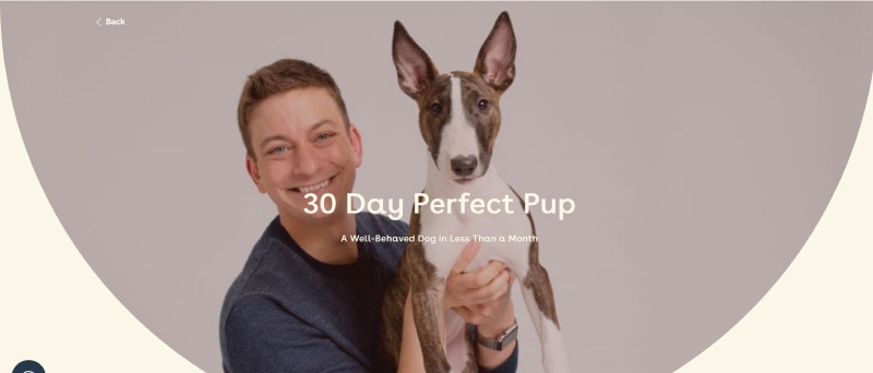pupford academy 30 day perfect pup training course