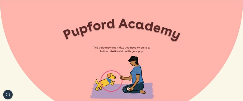 pupford academy page