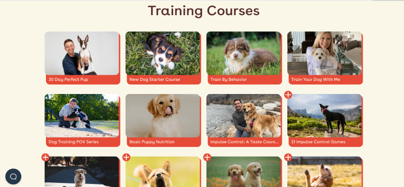 pupford academy training courses