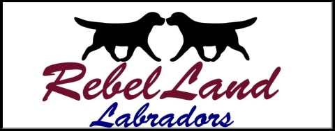 rebel land labrador logo