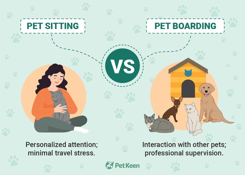 pet sitting vs pet boarding