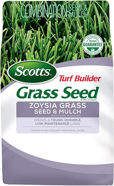 zoysia grass seed