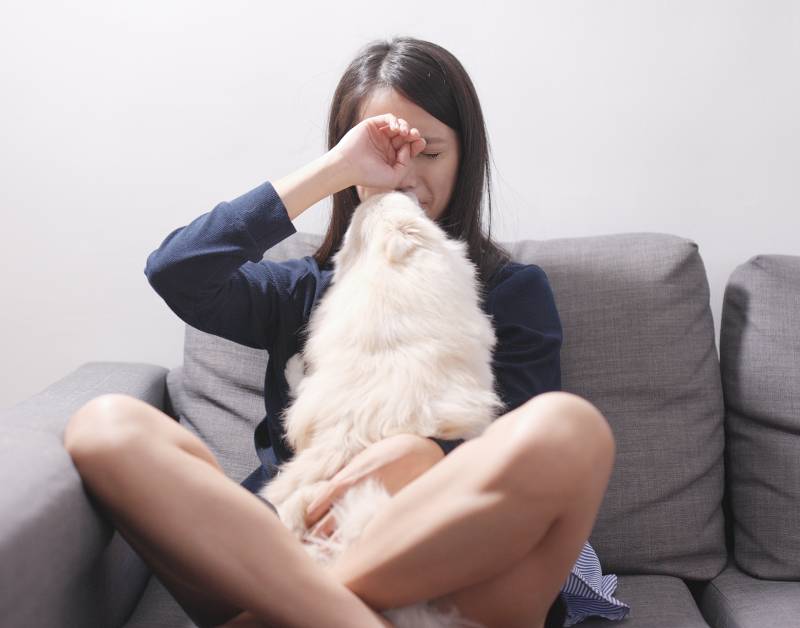 crying woman at home and dog licking her