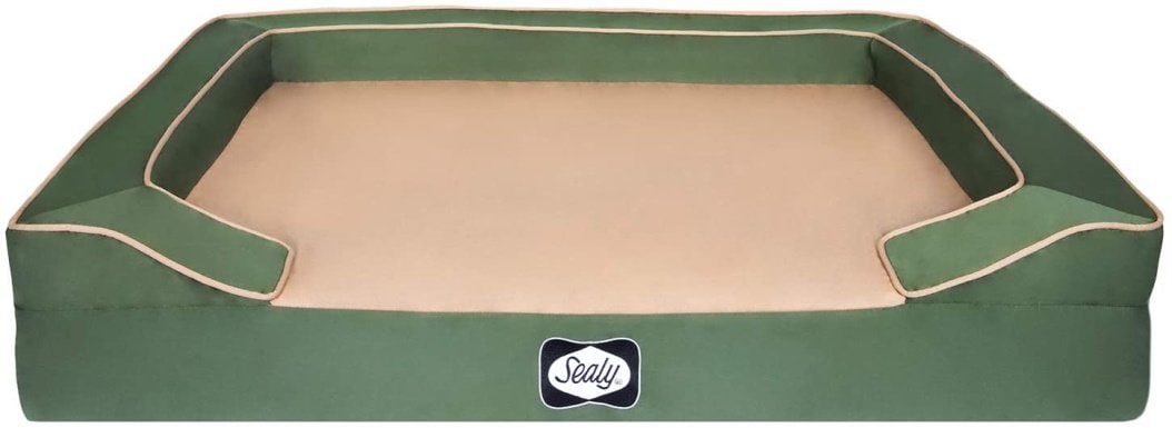 sealy dog bed