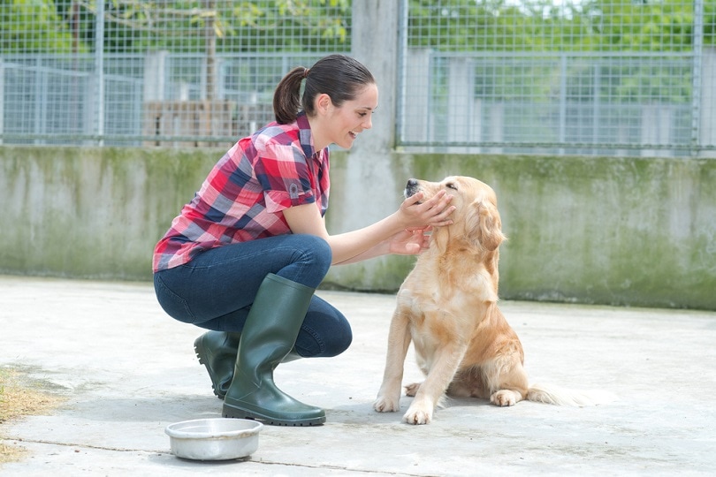 shelter-volunteer-feeding-the-dogs_ALPA-PROD_shutterstock