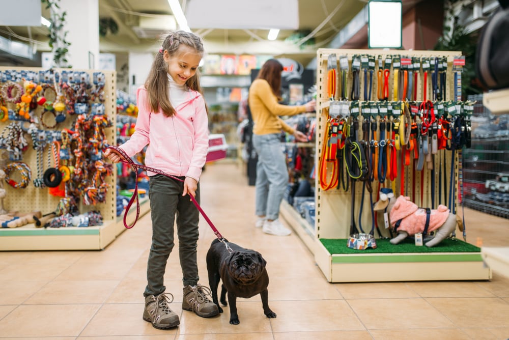Little girl with puppy in pet shop