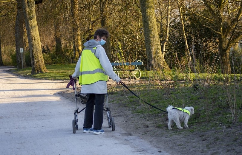sick patient walking with dog