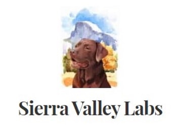 sierra valley labs logo