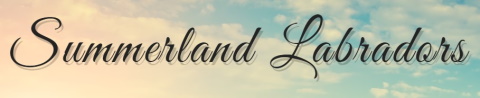 summerland labradors logo