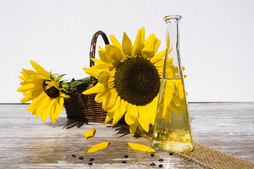 sunflower-oil-piaxbay