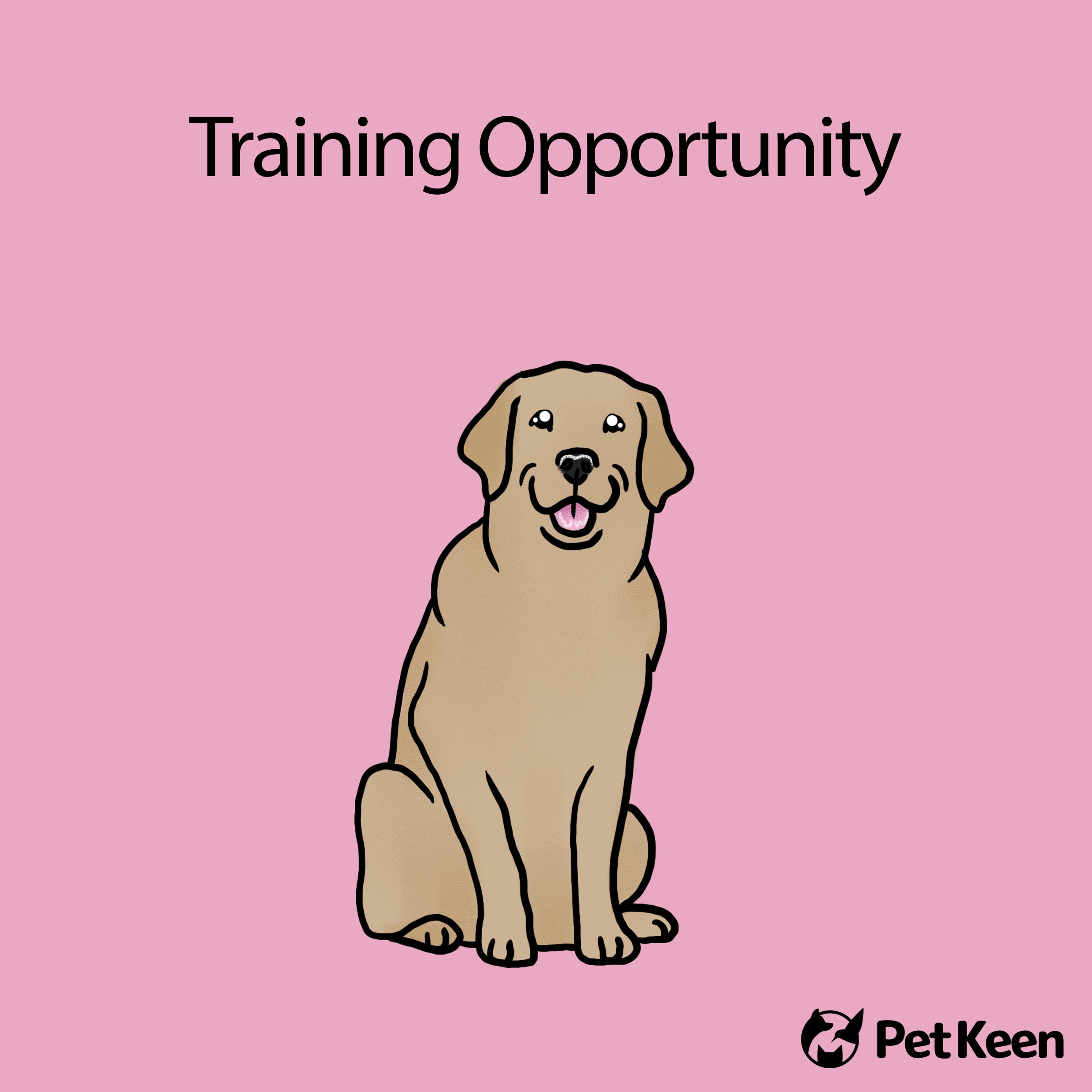 training opportunites