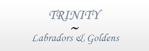trinity labrador logo
