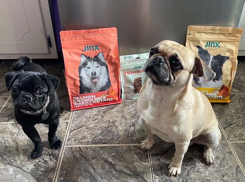 two dogs at the front of jinx kibble and treats