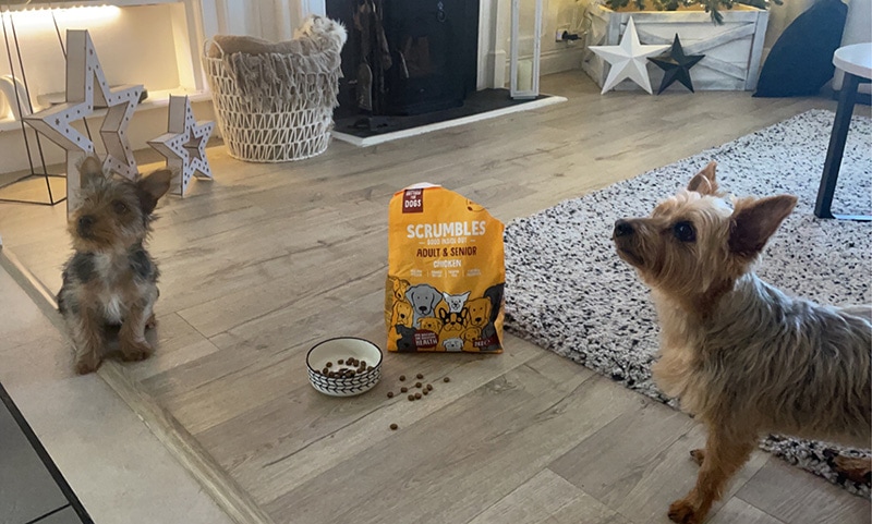 two dogs sitting near scrumbles dog food packaging
