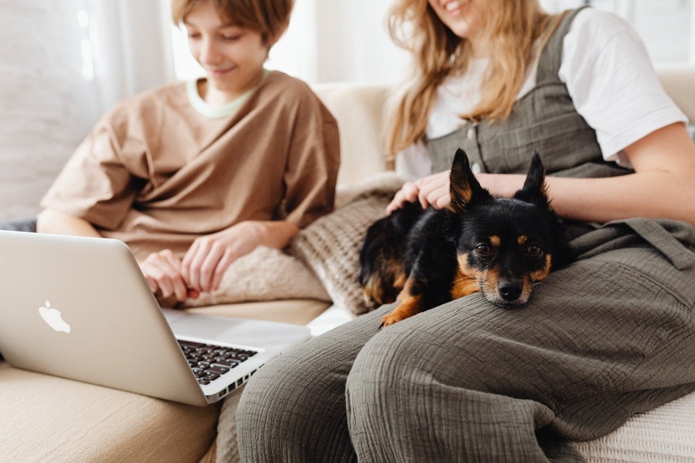 two person holding a black dog and using a laptop