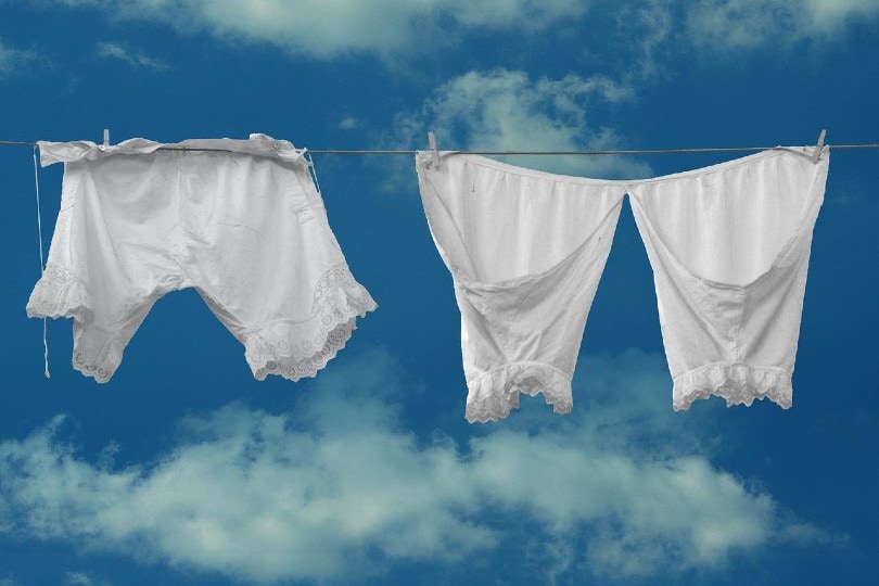 underwears hanging on a clothing line