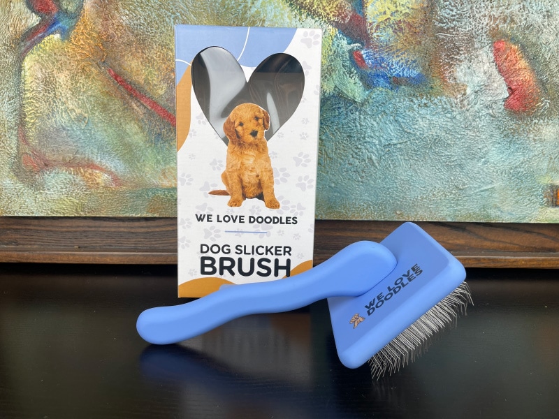 we love doodles slicker dog brush out of the box
