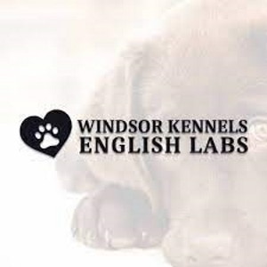 windsor kennels logo