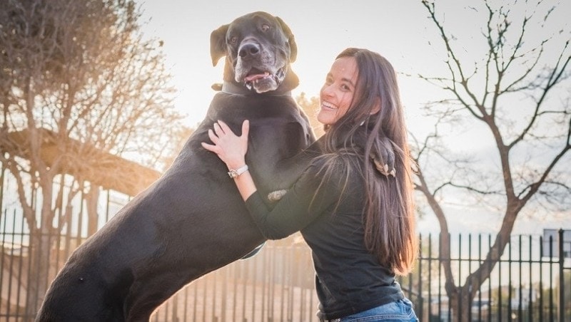 woman and her great dane