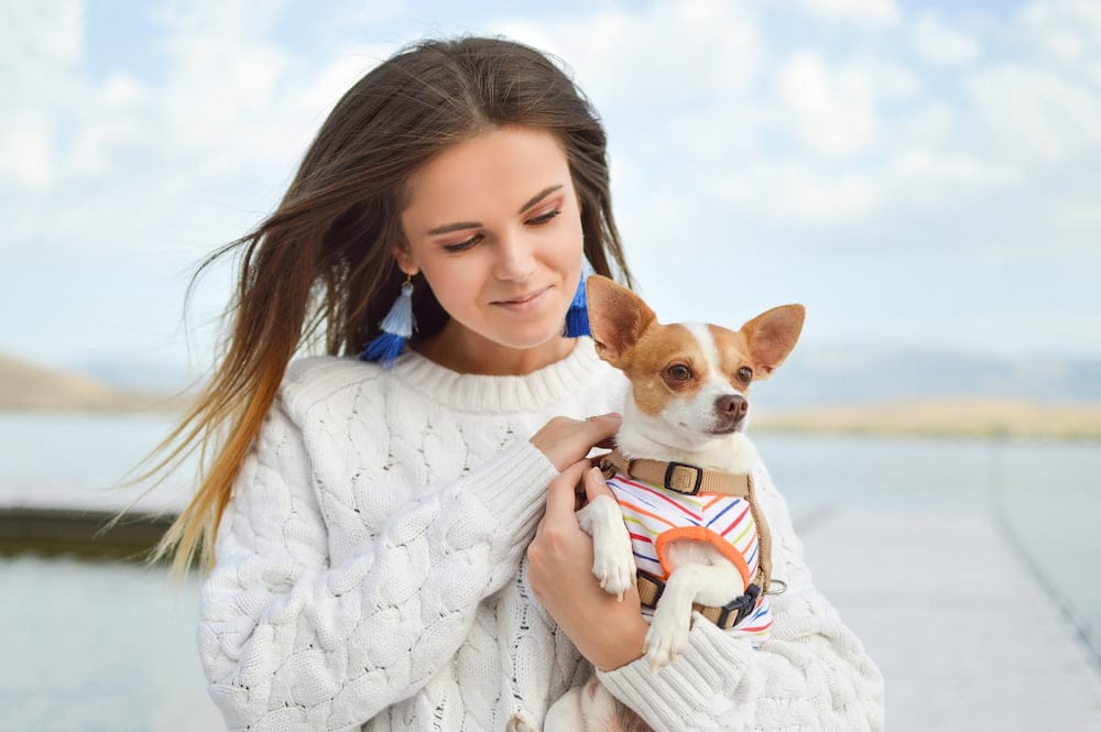 woman carrying a white and brown dog wearing harness