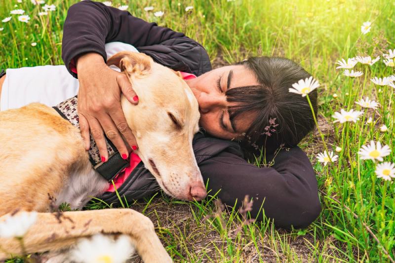 woman kissing her greyhound pet