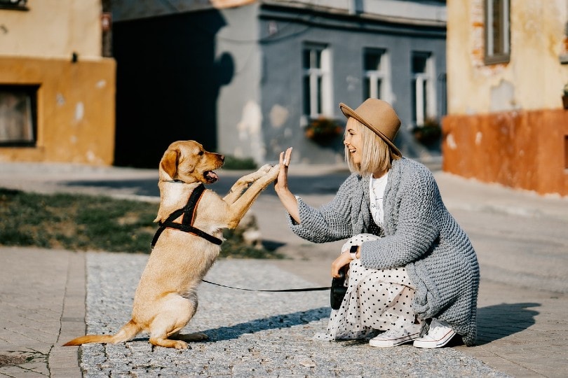 woman playing with dog in the streets