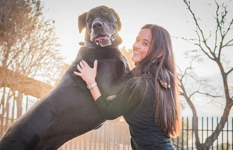 woman posing with her great dane dog outdoors